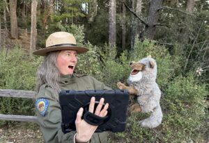 Mount tamalpais tour guide