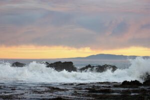 Carpinteria State Beach Photo
