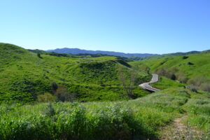 Chino Hills State Park Photo