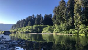 Jedidiah Smith Redwoods