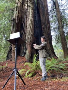 Interpreter stands in front of large redwood tree trunk. She's looking at a device on a tripod, interpreting to kids about the redwoods.