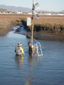 Tijuana Estuary Detecting Climate Change