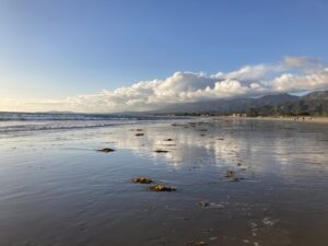 Image shows the ocean on the left with a wet sand covering the beach, reflecting the sky and clouds in the distance. Some clumps of kelp sit on the wet sand. Mountains are nestled under the clouds in the distance.