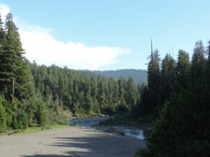 Jedediah Smith Park