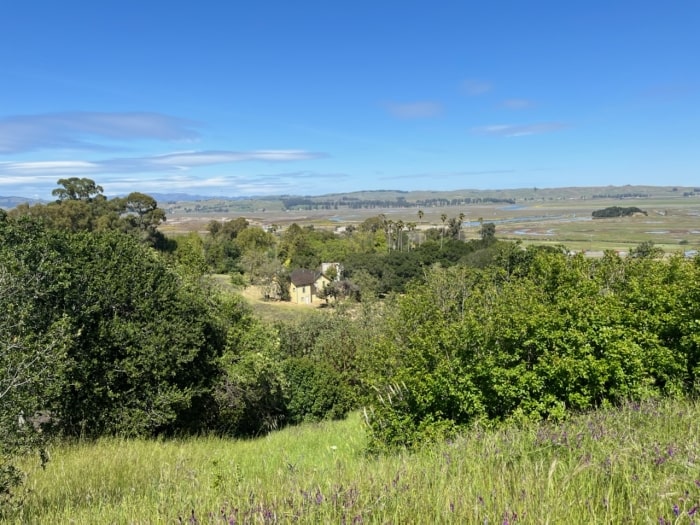 Olompali Diverse Landscapes