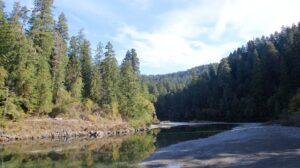 Jedidiah Smith Redwoods and Lake View