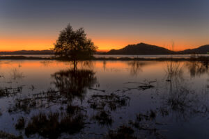 Lake Perris