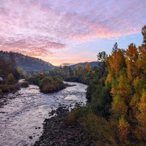 The american river pictured from above with beautiful yellow, orange and green trees lining the river, at dawn with purple pink clouds in the sky.