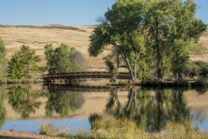 Bridge over Lake Oroville with trees in background