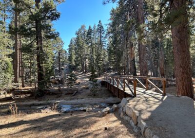 mt san jacinto