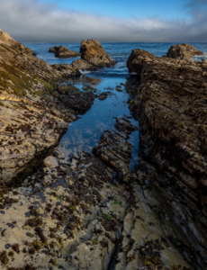 tidepools with jagged rocks and the ocean in the background