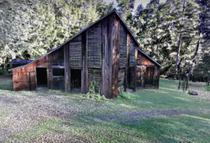 Screenshot of the Pond Farm Tapestry Tour. Image shoes a historic wooden building with leaves on the ground and trees surrounding.